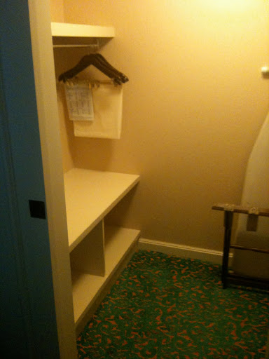 a closet with shelves and clothes swingers