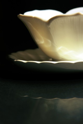 [bowl saucer reflected[6].jpg]