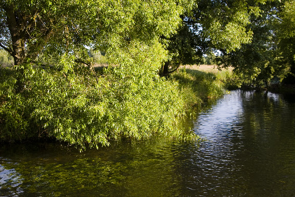 _MG_0004.jpg