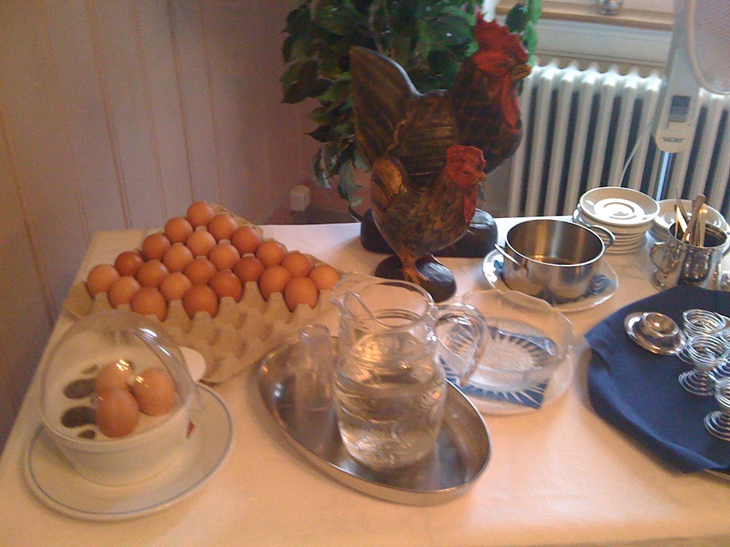 [Day 7 Wilderswil Belmont Eggs[3].jpg]