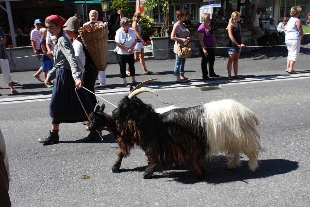 [day 9 Interlaken (86)[3].jpg]