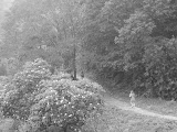 Bethanie running to catch up with Marty at Fushan Botanical Park
