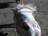 DSC00051.JPG