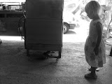 IMG_4405.JPG