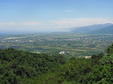 IMG_4437.JPG