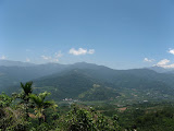 IMG_4420.JPG