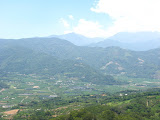 IMG_4428.JPG