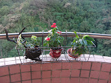 balcony at Ankeng apartment