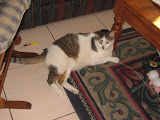 IMG_3204.JPG