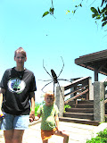 probably the biggest one of these spiders we've ever seen... big as Scott's hand