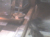 DSC00379.JPG