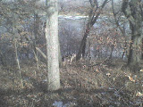 DSC00311.JPG