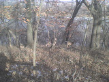 DSC00312.JPG