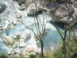 IMG_1200.JPG