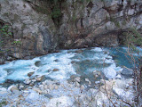 IMG_1225.JPG