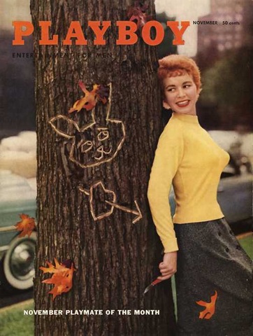 [195511_Cover[3].jpg]