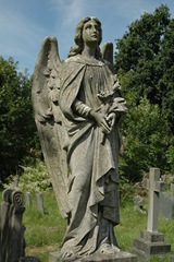 [2718809601_36e6c66c24_o[5].jpg]