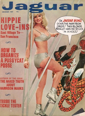 [jaguar67-12[3].jpg]