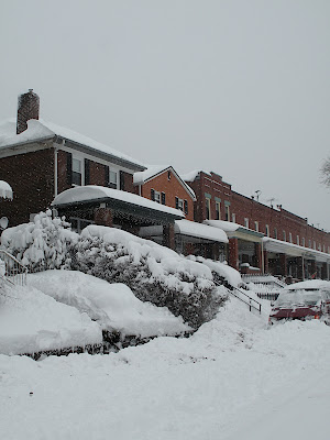 snowstorm 2010