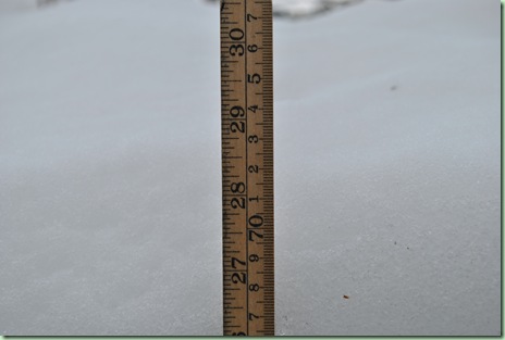 DSC_0002 DSC_0002