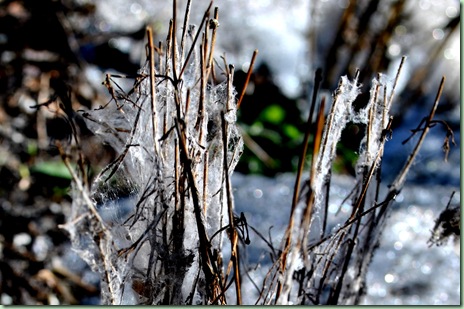 snöväv3 snöväv3