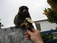 IMG_0161.jpg