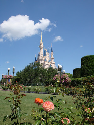 DSC00496.JPG