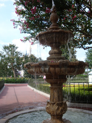 DSC01258.JPG