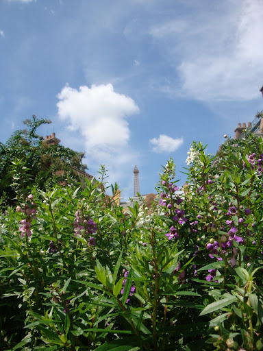 DSC01295.JPG