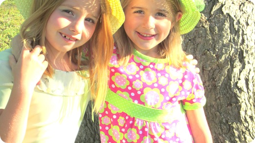 IMG_2293 IMG_2293