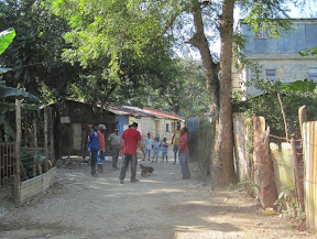 Cock fighting on the street leading to the school.
