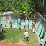 About 240 sheets were painted.