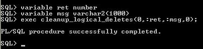 prim42363 001 prim42363:How to manually run PURGE DELETES via scripts