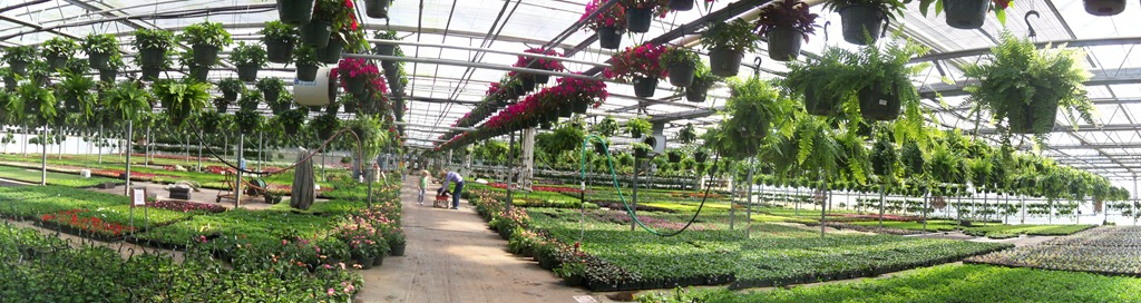 [100_0645[4].jpg]