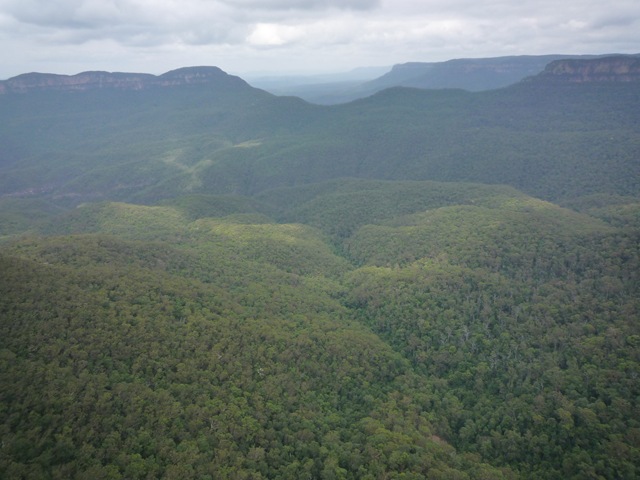 [P10606706.jpg]