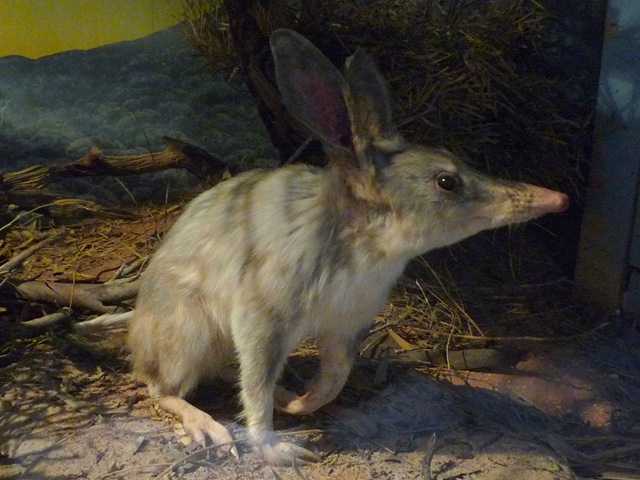 [P11005362.jpg]