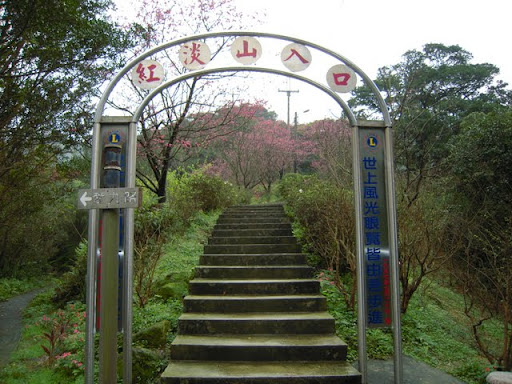 紅淡山櫻花步道入口