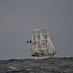 DSC_1231.jpg