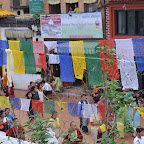 DSC_1120.jpg