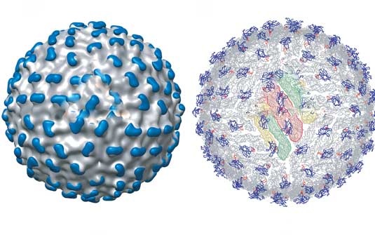 [0,,14331215-EX,00[3].jpg]