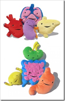 órgãos órgãos