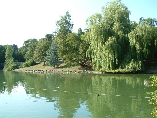 [Park Lake 24-08-2003 002[3].jpg]