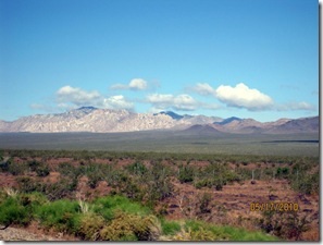 Green CA desert Blog