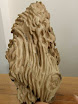 Agarwood = Trầm hương (or Kỳ nam)