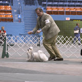 Progressive Dog Club of Wayne County, April 27, 2003