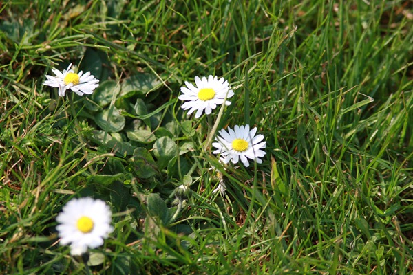 bIMG_0140