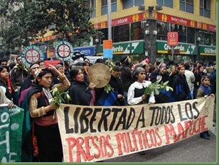 460_0___30_0_0_0_0_0_marcha_mapuche