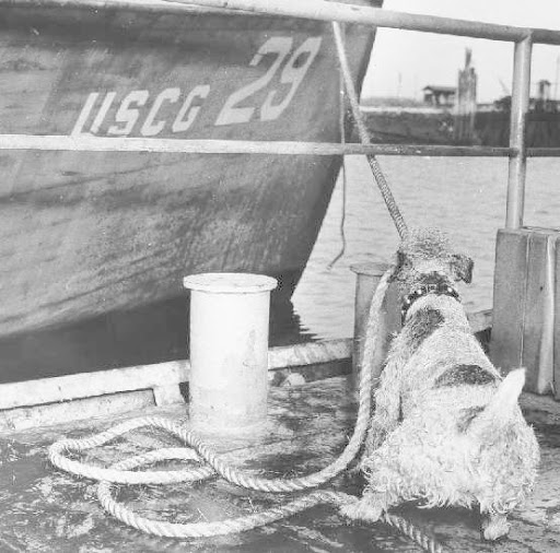 scheepshond pete (us coastal guard)