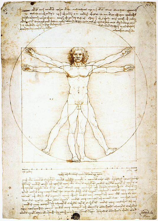 Leonardo da Vinci, tekening van anatomische verhoudingen
