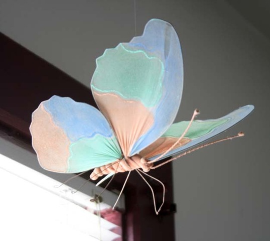 [butterfly[4].jpg]